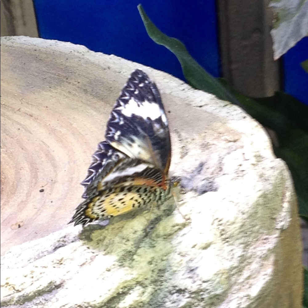 Meet your Posher, Agri